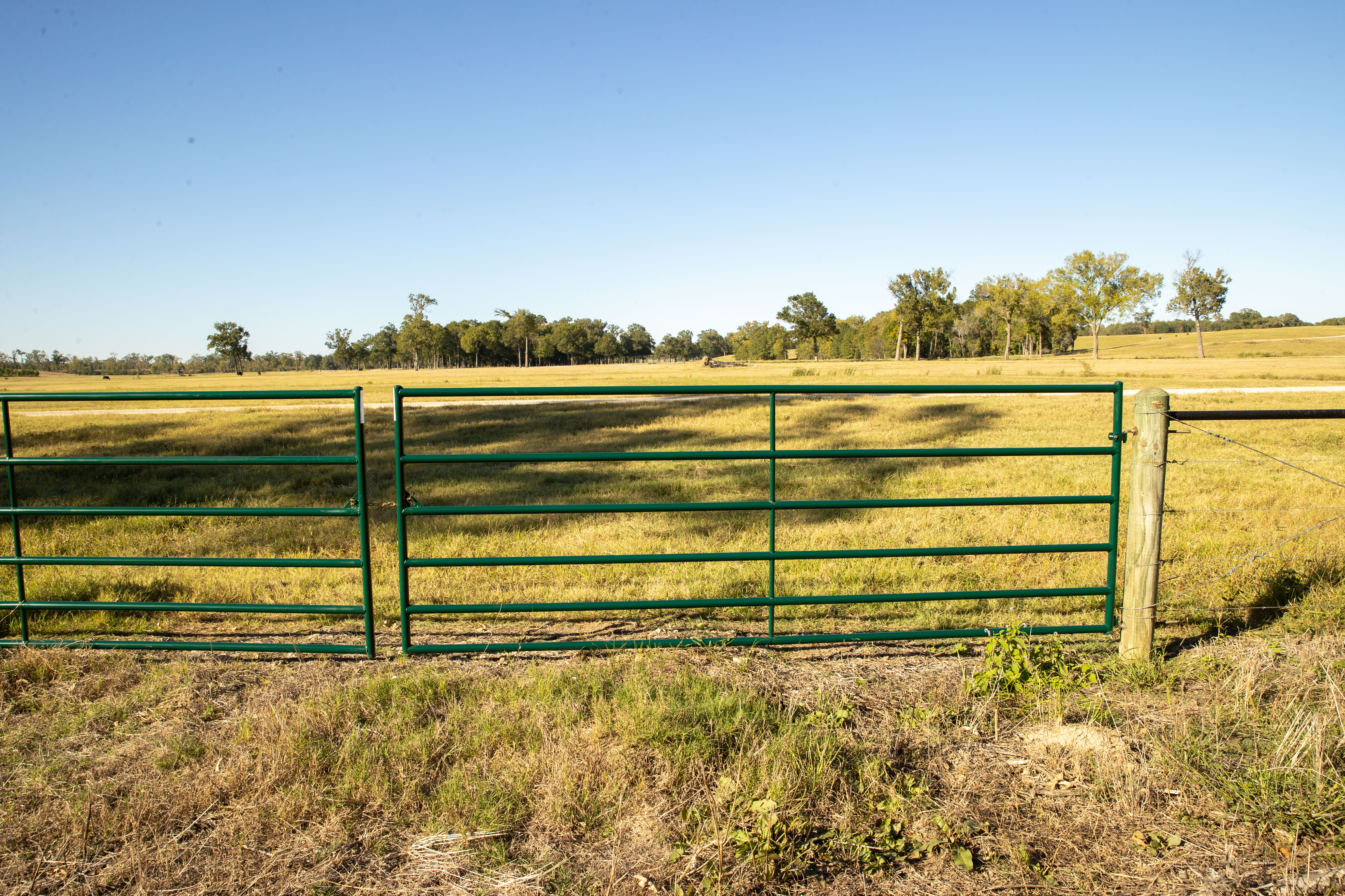 Economy Gate IMG 0557.jpg